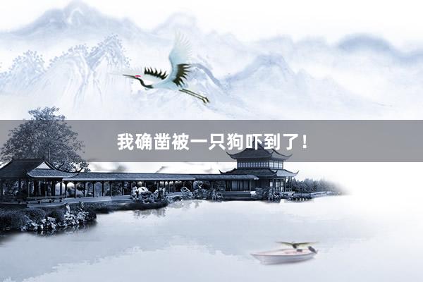 我确凿被一只狗吓到了！